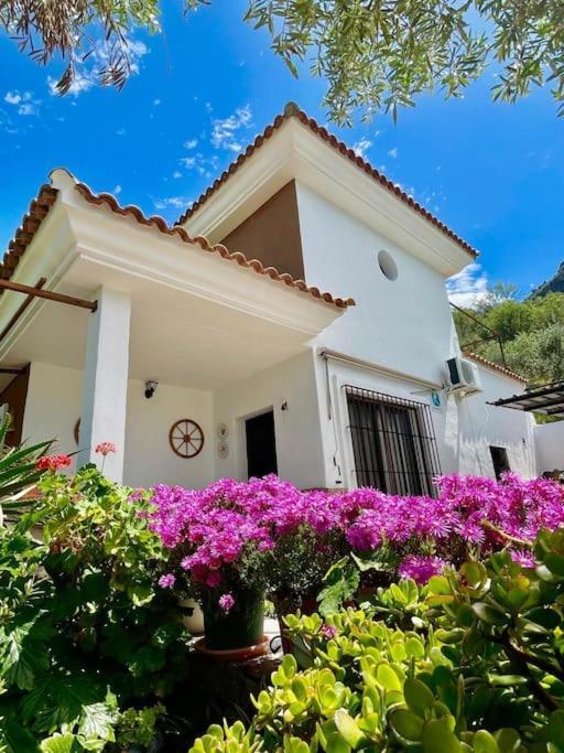 Vila Casa La Roca El Gastor Exteriér fotografie